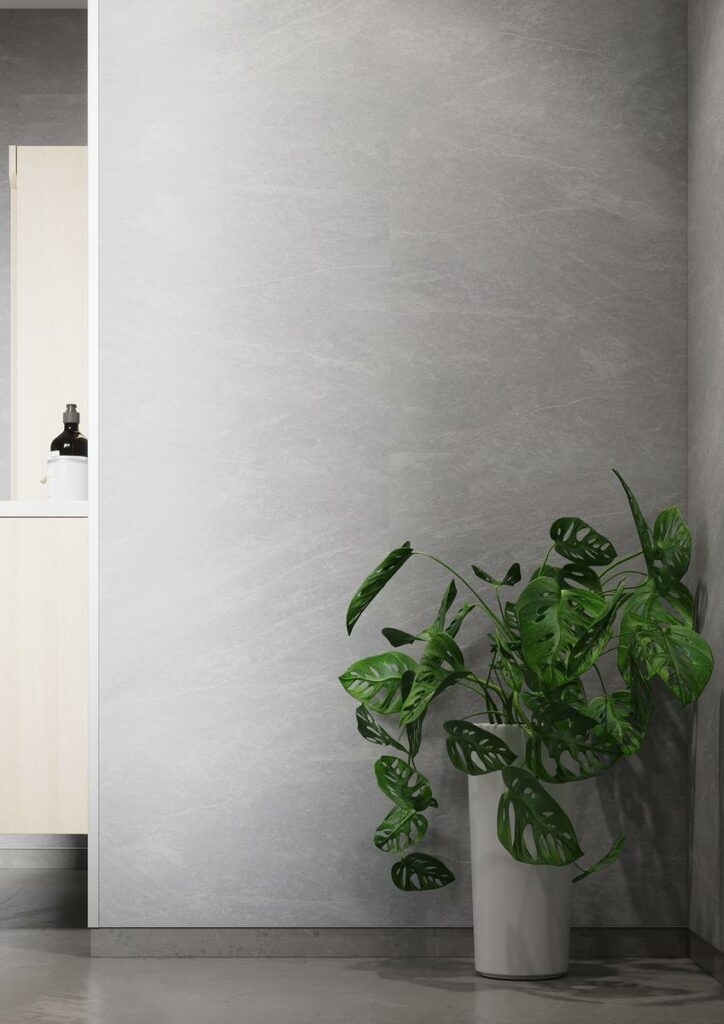 1035 S Silver Slate